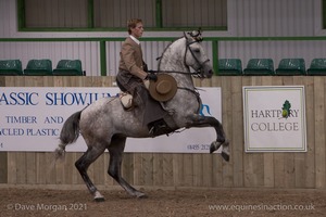 Lusitano Breed Society of Great Britain Show - Hartpury College - 27th June 2009